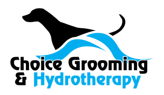 Canine Hydrotherapy based in Shropshire